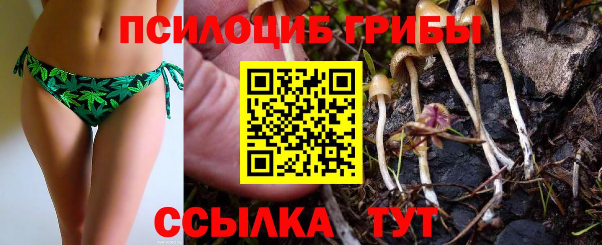 Галлюциногенные грибы Magic Shrooms Киржач